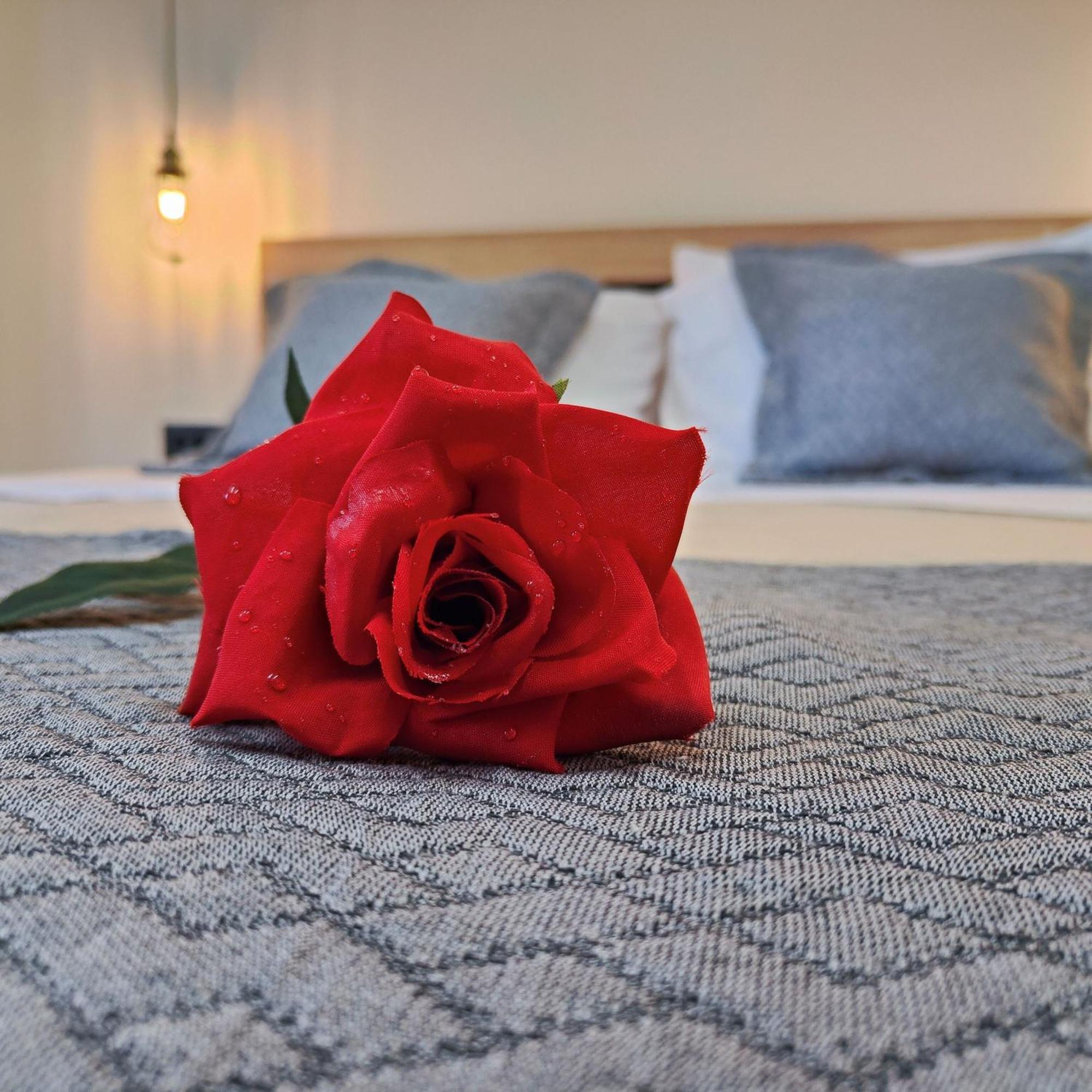 Calliope's Rhodes Comfort Rhodes City